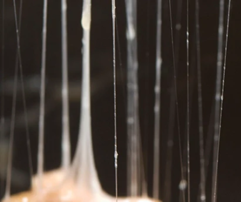 Kyselina polyglutamová